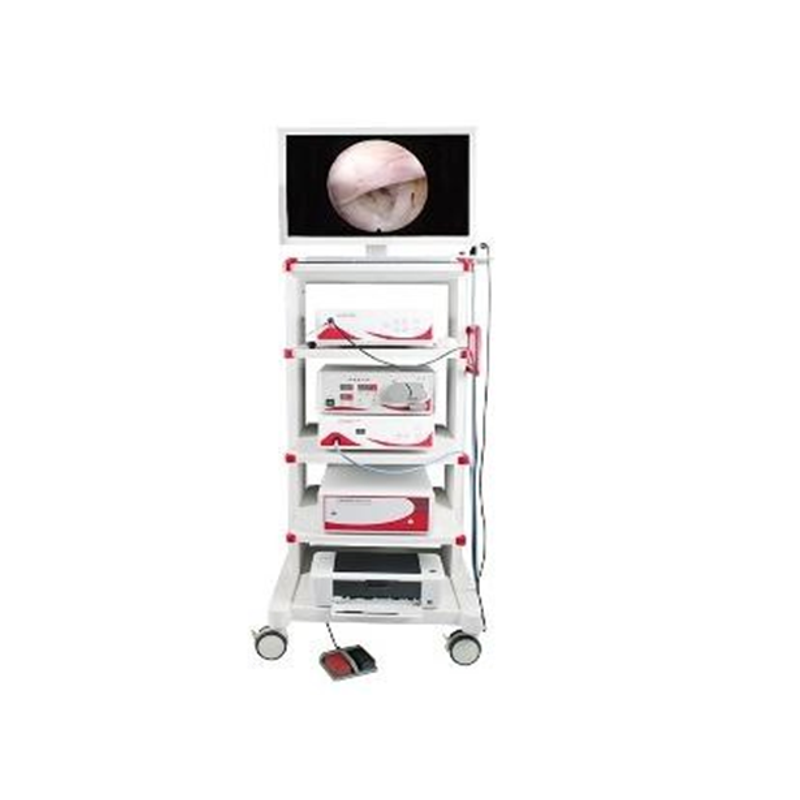 HCE-3000 Cystoscope Set