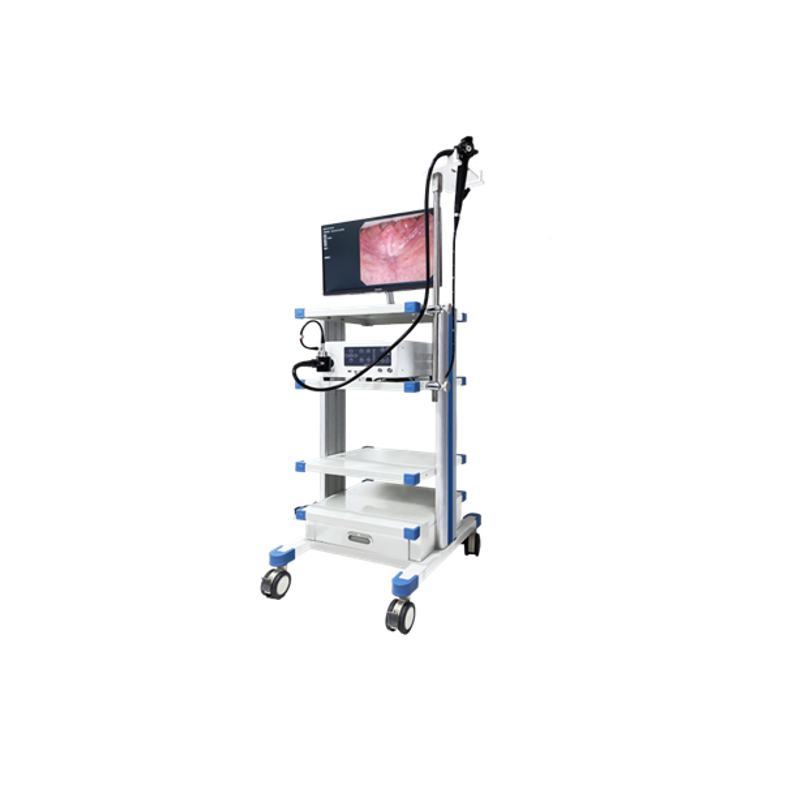 HFB-9 Video bronchoscopy/ cystoscopy/ nasopharyngoscope